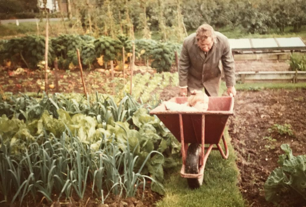 In de moestuin vroeger thuis