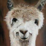 Schilderij alpaca