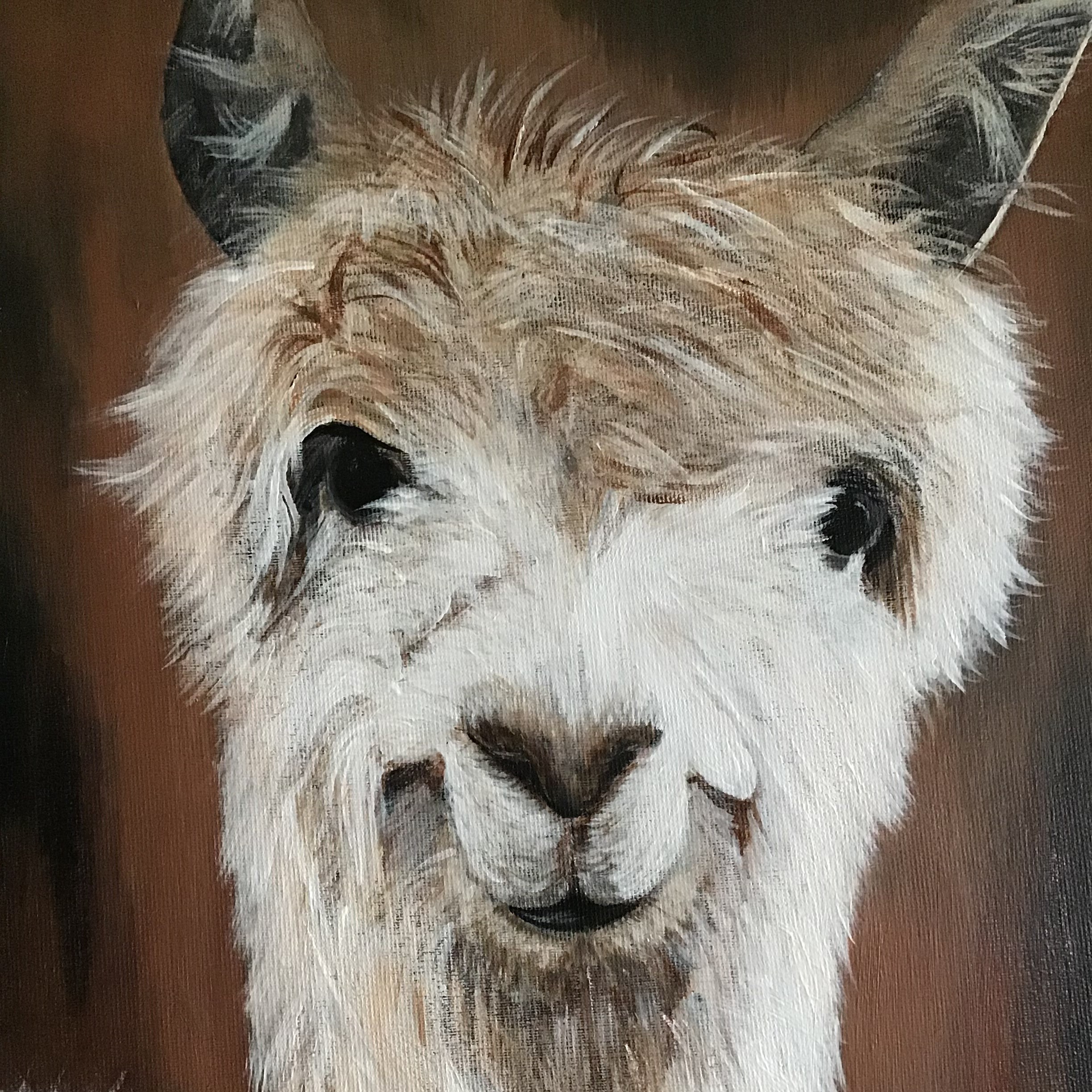 Schilderij alpaca